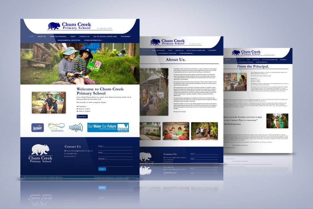 snapshot of Chum Creek Primary School website designed by us